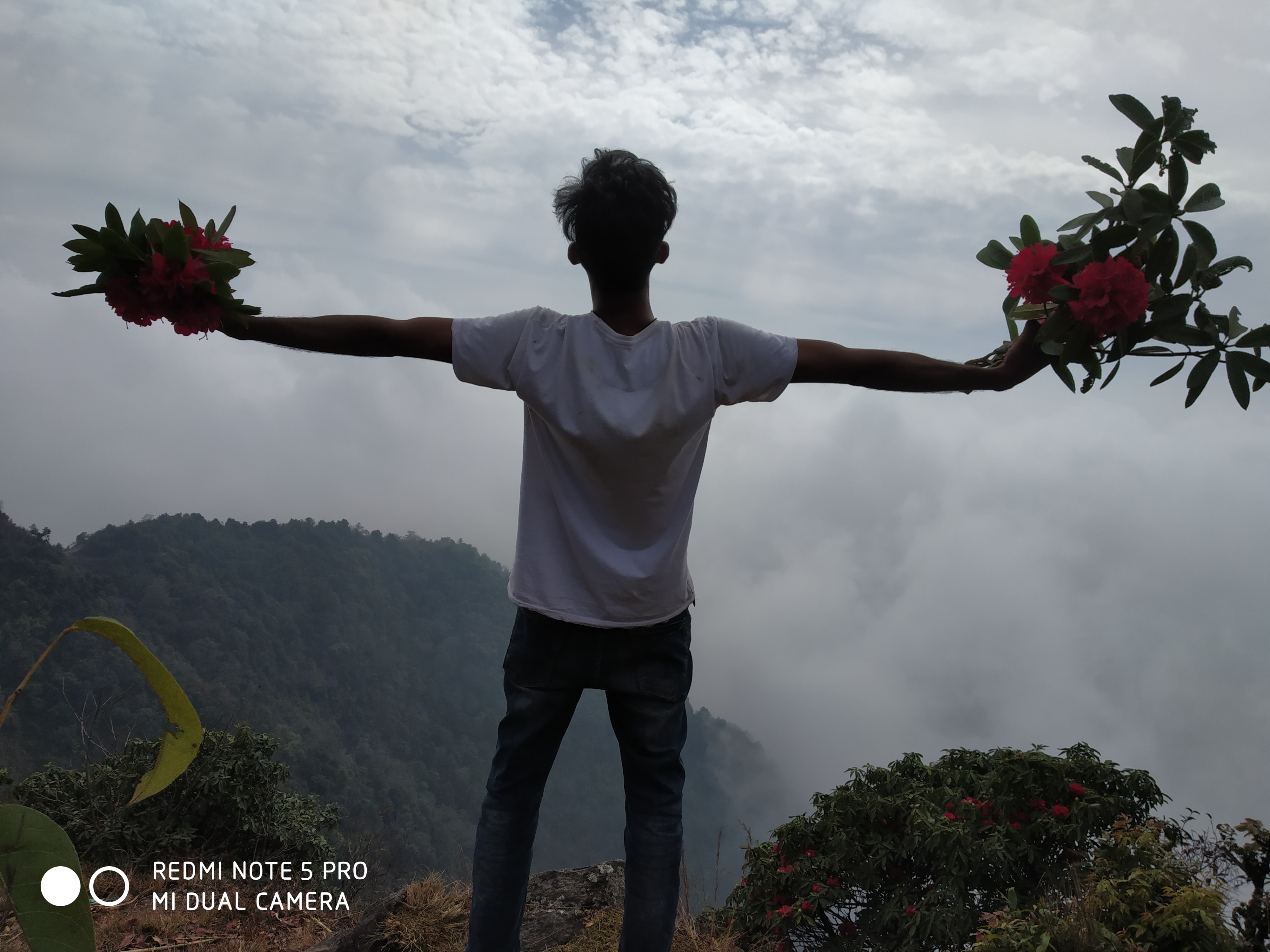 nature